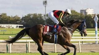 【マイルCS 注目馬】未知の魅力を秘めた若駒がマイル界で世代交代へ