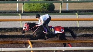 コントレイル、ジャパンC1週前追い切り速報/栗東トレセンニュース