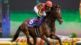 「実績面は心配無用」上位人気馬が堅実なマイルCSでAIが選んだのはあの馬！