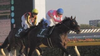 ワンダーリーデルが競走馬登録抹消