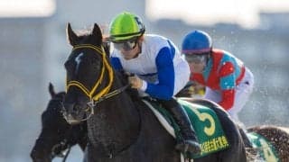 ロードゴラッソが競走馬登録抹消