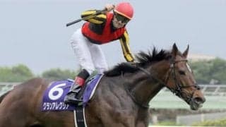 マイルCS連覇でグランアレグリアは有終の美を飾るか。データで見るラストランの展望ともう１頭の注目馬