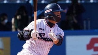 何に見える？　元燕・雄平氏の巨大な“努力の証”にファン驚き「これがプロの手か…」