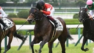 【東京スポーツ杯2歳S出走馬・騎手確定】イクイノックス＆ルメール騎手、レッドベルアーム＆福永祐一騎手など12頭