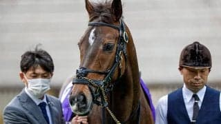 【マイルCS出走馬・騎手確定】グランアレグリア＆ルメール騎手、シュネルマイスター＆横山武史騎手など16頭