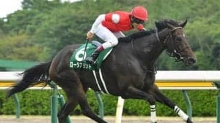 マイルCSも阪神の荒れ馬場で大波乱か!?　 穴党記者が「怖い存在」と指摘する伏兵２頭