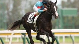 【東京スポーツ杯2歳S枠順確定】イクイノックスは1枠1番、レッドベルアームは5枠5番