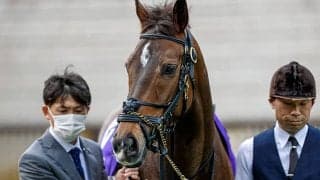 【マイルCS 調教後馬体重】グランアレグリアは504kg、シュネルマイスターは494kg