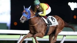 【大井・東京シンデレラマイルTR結果】笹川翼騎手騎乗の良血ミラバーグマンが圧倒的支持に応え勝利