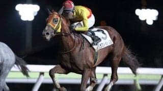 【大井・雷鳥特別結果】1番人気ラブリーホライズン大外強襲でデビュー2連勝