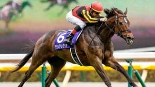 三強の3頭目が思い出せない/島田明宏