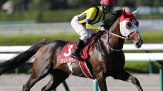 【次走】ステイフーリッシュが香港ヴァーズの招待受諾、父ステイゴールドが20年前に制した舞台へ