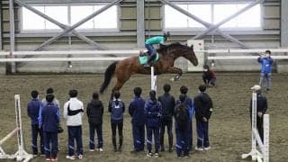 種付けから売却まで…日本で唯一サラブレッド生産を授業に導入している高校