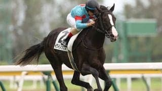 【東京スポーツ杯2歳S予想】新馬圧勝も過信禁物!? データが示すホープフルSへの道/JRAレース展望