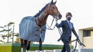 【マイルCS】ダノンザキッド安田隆師「2歳チャンピオンとして恥ずかしくないレースを」/ねぇさんのトレセン密着