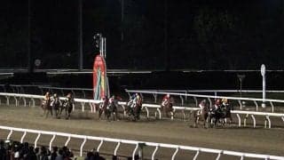 世界唯一の二刀流競馬場が誕生！大井で1日に左右両周りのレースを実施