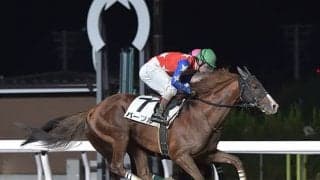 【地方競馬】大井競馬初の左回りはバーブルが優勝！鞍上の御神本訓史騎手は地方通算2500勝達成