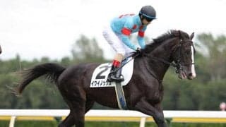 【本日の注目ポイント】GII昇格の東京スポーツ杯2歳S、ルメール騎手は1500勝まであと「2」