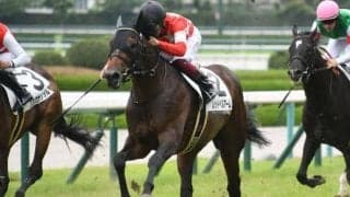【東スポ杯2歳S予想】デビュー戦は貫禄のある走りを披露！ 500キロを超える大型馬に注目