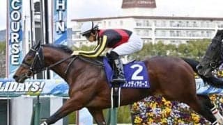 マイルCSは安泰ムード。もし「３強」の一角崩しがあるなら、代打騎乗で一発秘めるＧＩ馬