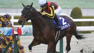 【マイルCS予想】気候と距離適性がカギ!? 気象予報士が語る晩秋の激走季節馬とは