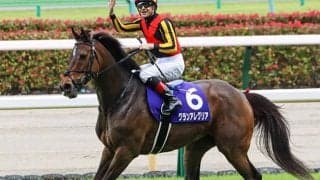 【マイルCS】出走馬の馬名意味と香港表記を紹介、ラストランを迎えるグランアレグリアは「大歓声」「放聲歡呼」