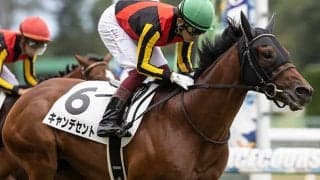 【京都2歳S想定】ディープインパクト産駒キャンデセント・トゥデイイズザデイなど11頭