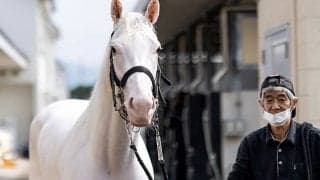 【チャンピオンズC想定】ソダシ、チュウワウィザード、カジノフォンテンなどGI級覇者多数の豪華メンバー