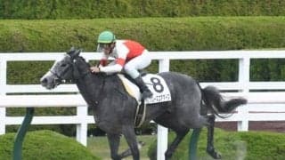 【阪神6R新馬戦結果】クローズユアアイズが内から突き抜け4馬身差圧勝