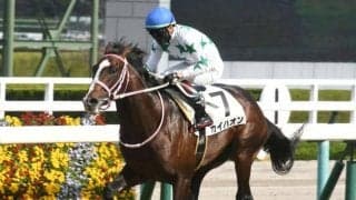 【阪神5R新馬戦結果】イスラボニータ産駒カイハオンが内から抜け出して新馬V