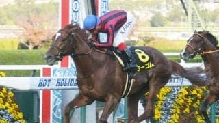 【アンドロメダS結果】3歳馬ラーゴムがボッケリーニとのハナ差の接戦を制す