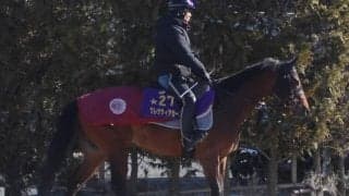 【マイルCS】グレナディアガーズ中内田師「落ち着いてレースに臨めれば」/ねぇさんのトレセン密着