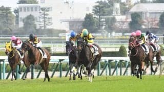 【マイルCS予想】先週より時計は出るが多少力がいる馬場状態/万哲の馬場予報