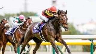 【WIN5予想】マイルCSは前走の着順や出走数も重要なポイント