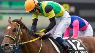 【JRA】伴啓太騎手が落馬負傷、日曜福島の障害2鞍で乗り替わり