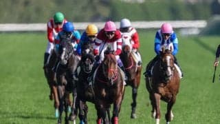 【東京6R】藤田晋氏所有 デュガが2勝目