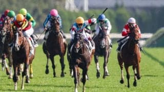 【東京2R】武豊 ジュンブロッサムが初勝利