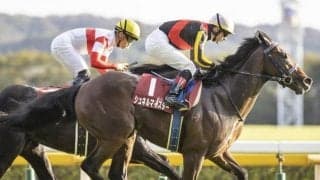 【マイルCS予想】3歳世代の“スピード名人“は、タフな馬場状態でもしっかりこなせそう