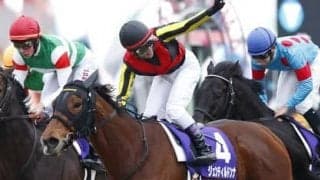 スタッフが胸躍らせる話題の良血馬。三冠牝馬ジェンティルドンナの子、マリーナドンナ