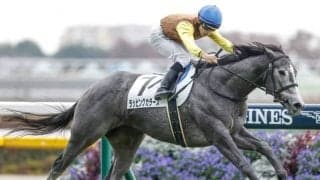 【東京4R新馬戦結果】ラッピングカラーズが逃げ切って新馬勝ち