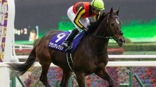 【マイルCS 13時時点オッズ】グランアレグリアが単勝1.9倍の1番人気、シュネルマイスターが4.6倍で続く