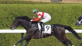 【阪神6R】ダノンマデイラVで川田騎手4連勝