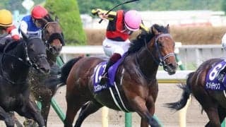 【マイルCS・馬体重】シュネルマイスターは480kg(-2)、グランアレグリアは506kg(+2)