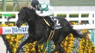 【秋明菊賞結果】リオンディーズ産駒オタルエバーが人気に応えて逃げ切り2勝目