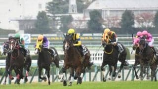 【JRA・WIN5】本日のWIN5は1番人気3勝で的中3483票、配当15万9750円