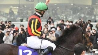 【勝負の分かれ目 マイルCS】ルメール騎手の好騎乗で絶対女王がラストランを勝利で飾る