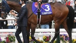 【マイルCS】ベストターンドアウト賞はシュネルマイスターが受賞