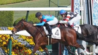 【新馬/阪神4R】ディープインパクト産駒 アストロフィライトがデビューV