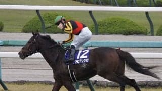 C.ルメール騎手 JRA通算1500勝達成！