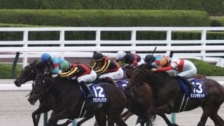 【マイルCS】横山武「勝ち馬が強かったです」レース後ジョッキーコメント